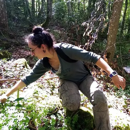 Gite Le Pre Du Roc * Bromont-Lamothe