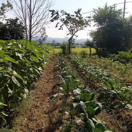Gite Le Pre Du Roc * Bromont-Lamothe