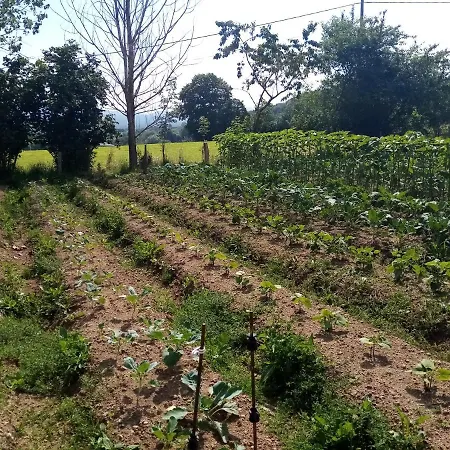 Gite Le Pre Du Roc *