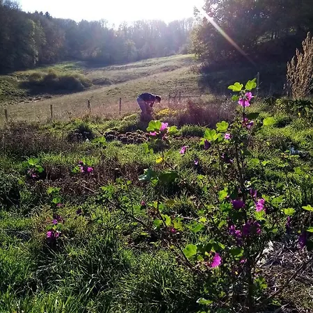 Gite Le Pre Du Roc * Bromont-Lamothe