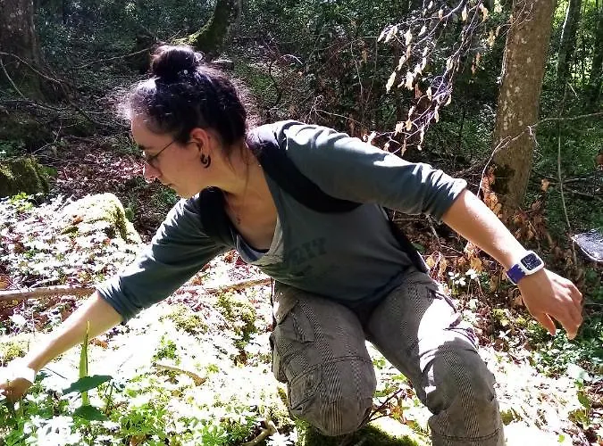 Gite Le Pre Du Roc * Bromont-Lamothe