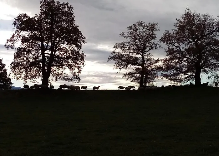 Gite Le Pre Du Roc Ferienhaus